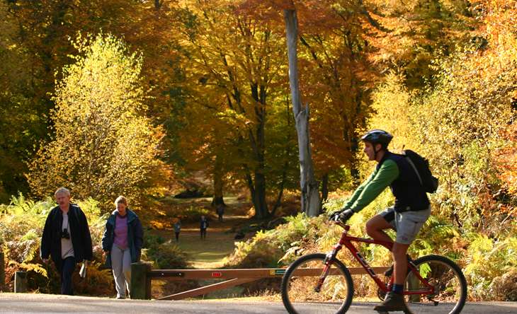 horse riding hampshire