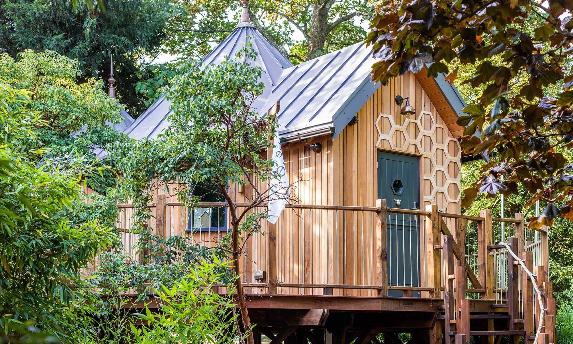Beehive Kids Club building surrounded by forest