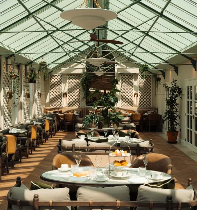 Indoor dining room with window ceilings, modern decor and lots of plants