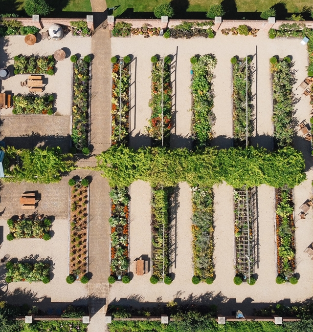 Top view of garden