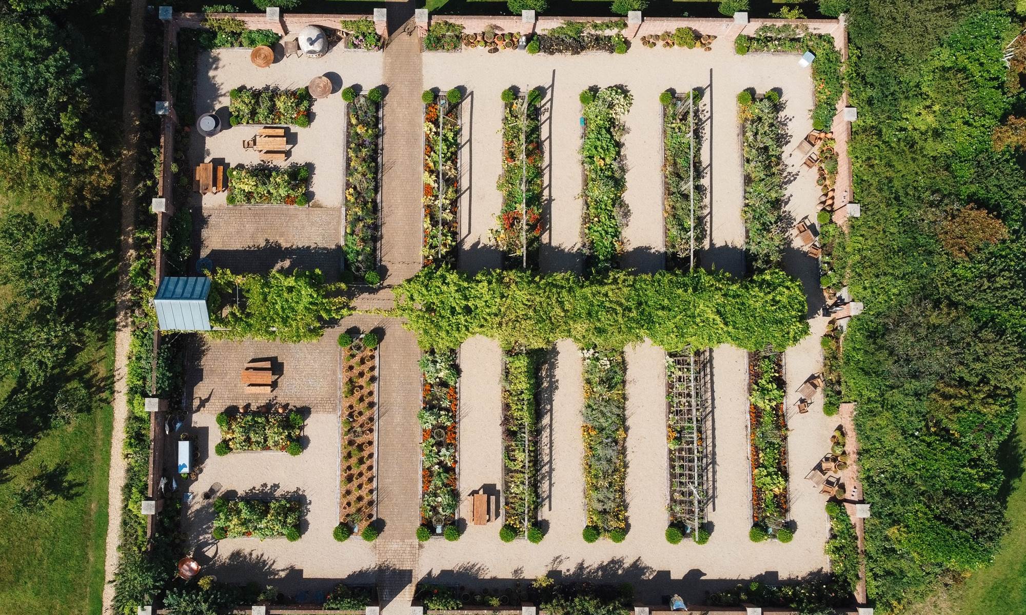 Top view of garden