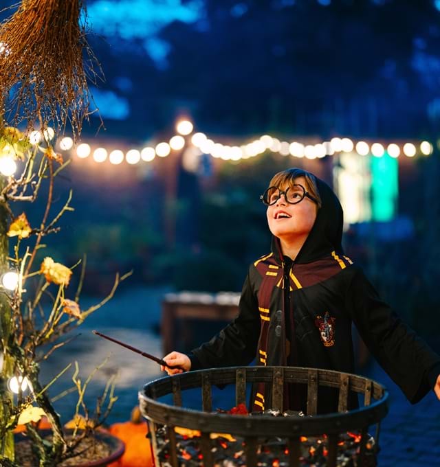 Autumn kids activities, halloween